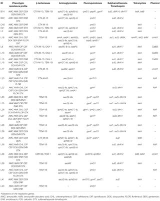 Concurrent Resistance to Carbapenem and Colistin Among Enterobacteriaceae Recovered From Human and Animal Sources in Nigeria Is Associated With Multiple Genetic Mechanisms